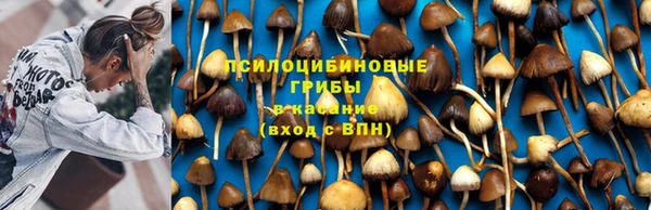 ALPHA-PVP Козловка