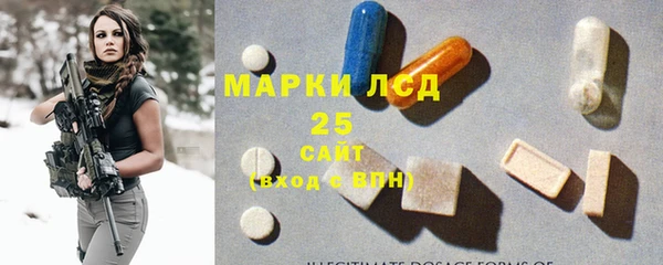 PSILOCYBIN Кодинск