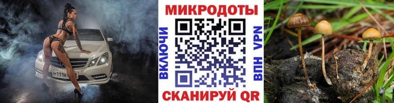 Купить закладки  Фатеж  Галлюциногенные грибы мухоморы 