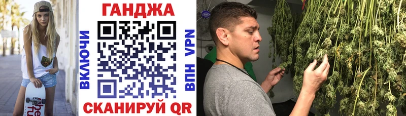 Канабис сатива  Купить закладки  Фатеж 